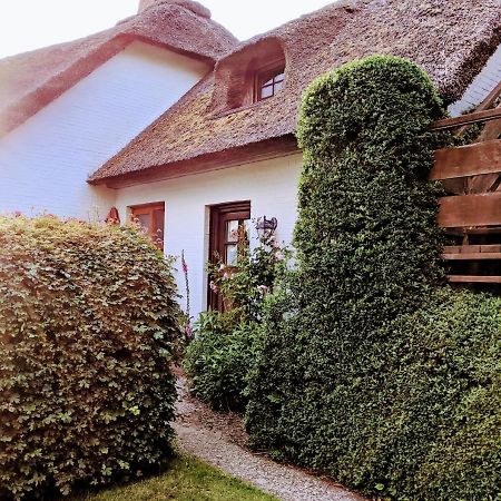 Ferienhaus Ebbe Und Flut, Terrassen-Whg 니블룸 외부 사진