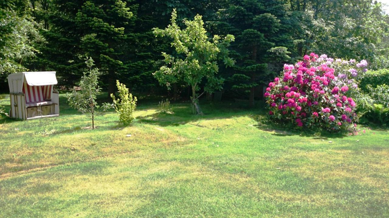 Ferienhaus Ebbe Und Flut, Terrassen-Whg 니블룸 외부 사진
